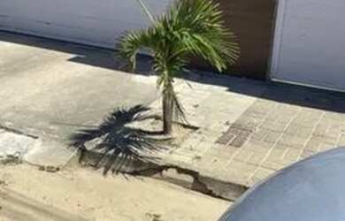 Imagem: A casa em condomínio possui 2 Dormitórios, 2 Banheiros, 1