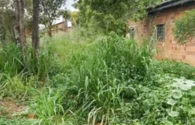 Imagem 2: Vendo lote quitado em Taquaralto