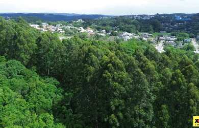 Imagem 5: Terreno para Venda em Nova Petrópolis, Pousada da Neve