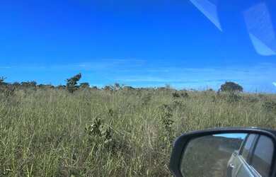 Imagem 4: A M IMOVEIS VENDE EXELENTE FAZENDA 180HECTARES NA CHAPADA GAUCHA EM BURITIS...