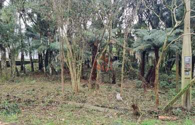 Imagem 5: Terreno à Venda em Gramado