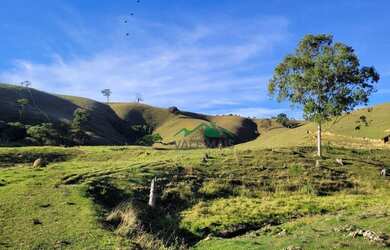 Imagem 12: Área à venda, 169000 m² por R$ 1.450.000 - Zona Rural - São Luiz do...