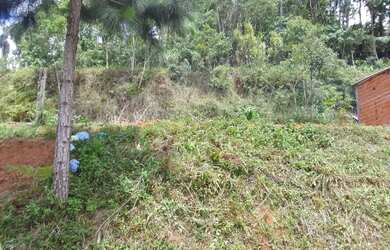Imagem: O terreno possui 350m² de Área e está localizado em Centro