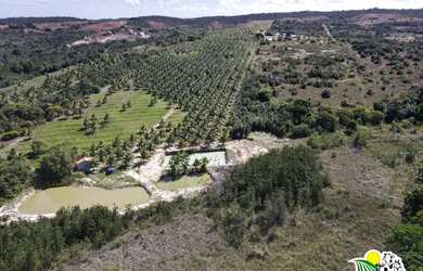 Imagem 2: Fazenda de Coco Verde à Venda na Bahia Fazenda de Aquicultura Maricultura...