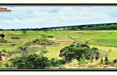 Imagem 4: Fazenda de 720 Tarefas. PiscinaeChurrasqueira