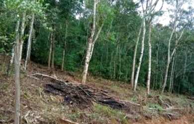 Imagem: O terreno está localizado em Chácara Dos Amigos, Embu-Guacu