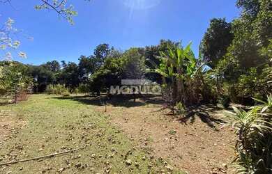 Imagem 5: Casa residencial para locação no Bairro Mansões Aeroporto