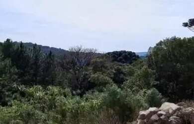 Imagem 4: Terreno - Bairro Dutra. 450m² de Área