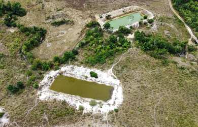 Imagem 8: Vende-se Fazenda - Iracema - RR