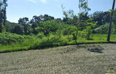 Imagem 3: Terreno para Venda em Nova Petrópolis, Linha Imperial