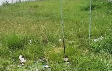 Imagem: O terreno possui 150m² de Área e está localizado em Pedra