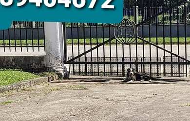 Imagem 12: GALPAO INDUSTRIAL em DUQUE DE CAXIAS - RJ, MANTIQUIRA