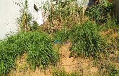 Imagem 8: Terreno à venda, 230 m² por R$ 180.000,00 - Nossa Senhora de Fátima...