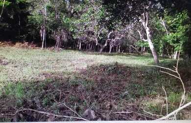 Imagem: A chácara possui 30.000m² de Área e está localizado em