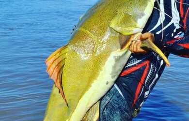 Imagem 10: Casa temporada rio Araguaia Luiz Alves