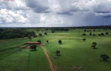 Imagem: A fazenda possui 806m² de Área e está localizado em Inocência