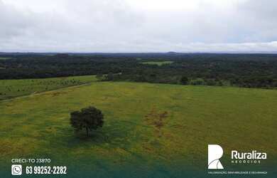 Imagem 4: Fazenda à venda, 822,00 ha por R$ 17.000.000,00