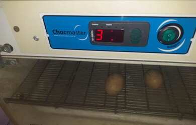 Imagem: Chocadeira automática