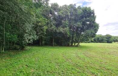 Imagem 8: sitio. Imóvel novoe38.000m² de Área