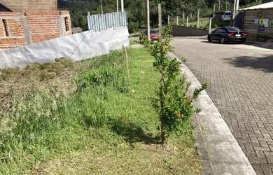 Imagem 5: Terreno - Bairro Carniel. 487m² de Área