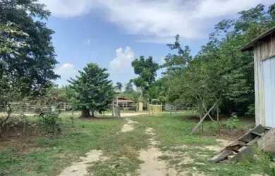 Imagem 4: Sítio no Novo Airão kM 04