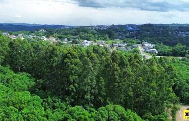 Imagem 6: Terreno para Venda em Nova Petrópolis, Pousada da Neve