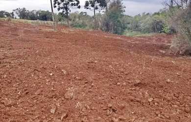 Imagem 6: Chácara em Santa Tereza do Oeste - PR