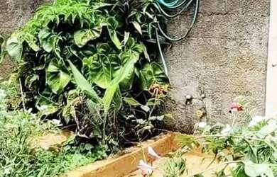 Imagem 10: Casa para venda e locação, Jardim dos Pinheiros, Atibaia, SP