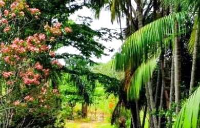 Imagem: A chácara possui 50.000m² de Área, Varanda e está localizado