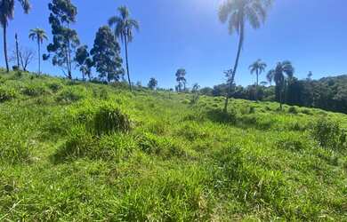 Imagem 5: Lote/Terreno para venda tem 1000 metros quadrados