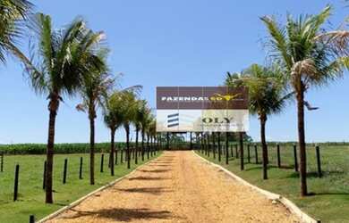 Imagem 6: Sítio Premium no município Inhumas-Goiás. 54 km de Goiânia. 35 Hectares