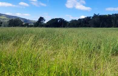 Imagem: A fazenda possui 570.000m² de Área e está localizado em