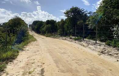 Imagem 6: Terreno à venda, 7500 m² por R$ 850.000,00 - Praia de Pipa - Tibau do...