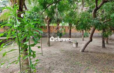 Imagem 4: Sítio com 3 dormitórios, 100000 m² - venda por R$ 650.000,00 ou aluguel...