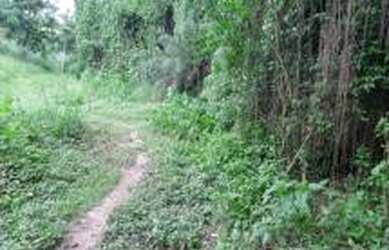 Imagem 12: Área para venda 3413 metros quadrados em Nova Cidade - São Gonçalo...