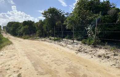 Imagem 1: Terreno à venda, 7500 m² por R$ 850.000,00 - Praia de Pipa - Tibau do...