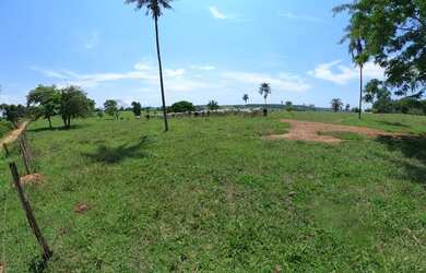 Imagem: A fazenda está localizado em Morrinhos, GO à venda por R$1.700.000