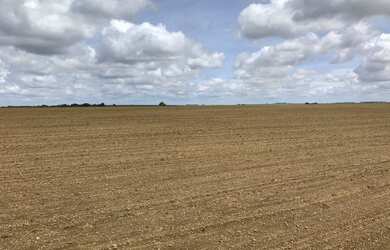 Imagem: A fazenda está localizado em Vila São José, Caldas Novas