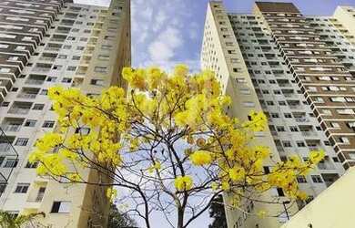 Imagem 15: Apartamento em andar alto à venda no Condomínio Vista Bella em Barueri