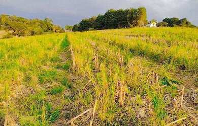 Imagem 3: Lote/Terreno para venda com 500 metros quadrados em Jardim Colonial - Atibaia - SP