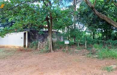 Imagem 3: Terreno plano 13x20 na Quinta da Bela Olinda por apenas R$ 75 mil