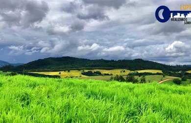 Imagem 12: 29an. VEM QUE TENHO NOVIDADE