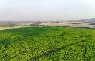 Imagem 3: Fazenda 113 alq Município de Niquelandia-Goiás