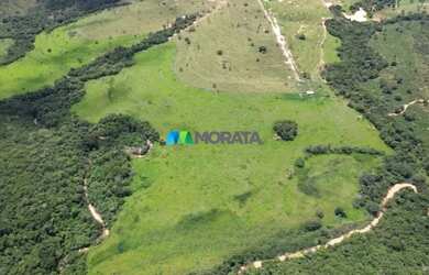 Imagem 7: FAZENDA À VENDA - 273 HECTARES - TRÊS MARIAS MG