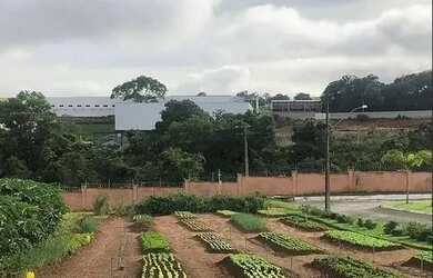 Imagem 8: TERRENO 360m² À VENDA - JARDIM VENEZA - SENADOR CANEDO-GO