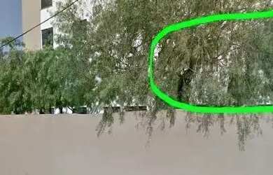 Imagem 7: Apartamento à Venda Excelente Localização PRÓXIMO A UFSCAR