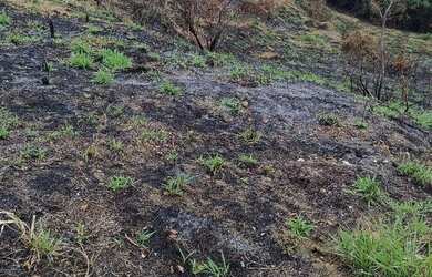 Imagem 5: Terreno POLIVALENTE. 840m² de Área