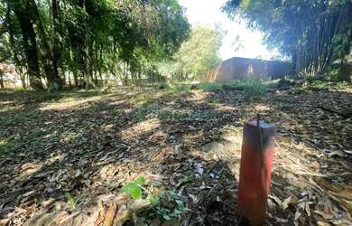 Imagem 6: Terreno São Virgílio Caxias do Sul