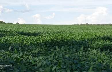 Imagem: A fazenda está localizado em Doverlândia, GO à venda por