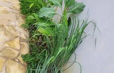 Imagem 5: Casa à venda com 3 quartos, no Parque Portugal!